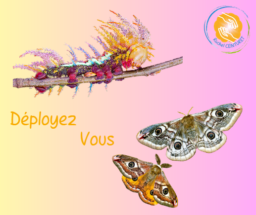 Capture d’écran 2023-05-31 171435