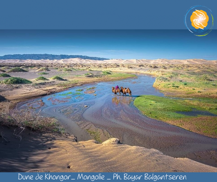 Dune de Khongor mongolie ph. bayar balgantseren