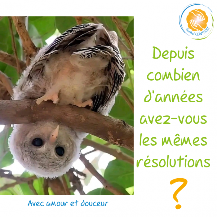 Votre texte de paragraphe(2)