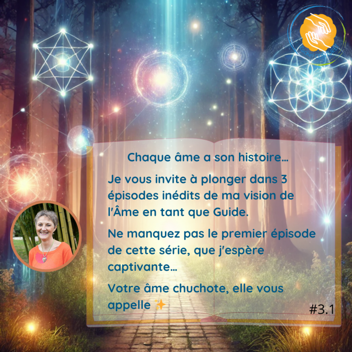 Chaque âme a son histoire 3.1